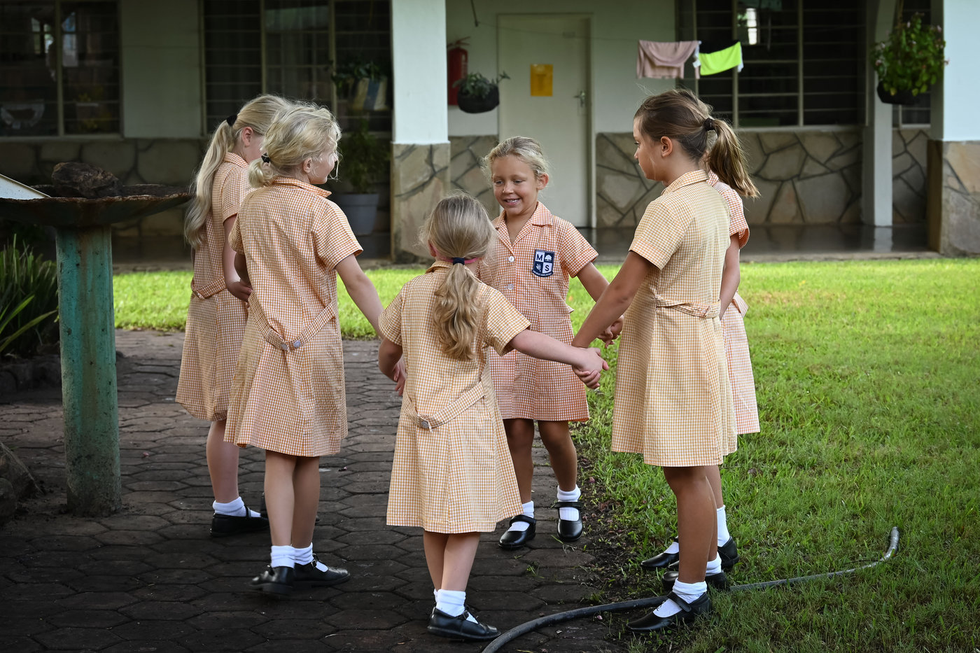 Children playing on the lawn
